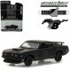 Ford Mustang (1969) - Trans Am Racing Team